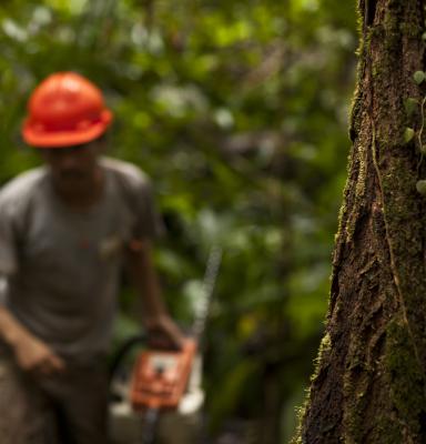 FSC Data Standard